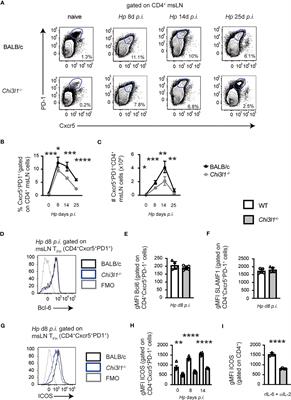 Chitinase-3-like 1 regulates TH2 cells, TFH cells and IgE responses to helminth infection